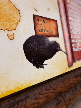 天王寺動物園に投稿された画像（2025/10/13）