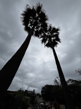 天王寺動物園に投稿された画像（2025/10/13）