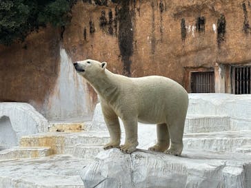 天王寺動物園に投稿された画像（2025/10/13）