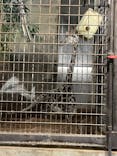 恩賜上野動物園に投稿された画像（2025/10/13）