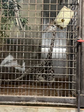 恩賜上野動物園に投稿された画像（2025/10/13）