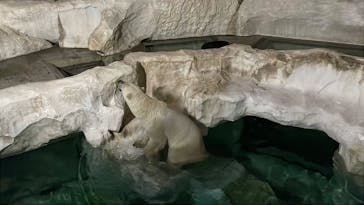 恩賜上野動物園に投稿された画像（2025/10/13）
