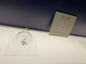 正倉院 THE SHOW ―感じる。いま、ここにある奇跡―　@上野の森美術館に投稿された画像（2025/10/13）