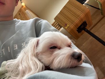 いぬカフェRio 下北沢店に投稿された画像（2025/10/13）