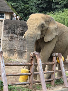 多摩動物公園に投稿された画像（2025/10/13）