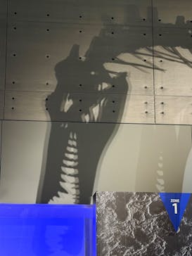 福井県立恐竜博物館に投稿された画像（2025/10/13）