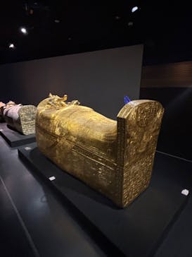 MYSTERY OF TUTANKHAMEN 体感型古代エジプト展に投稿された画像（2025/10/13）