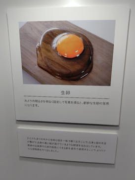 キボリノコンノ展 食べたい！木彫りアートの世界に投稿された画像（2025/10/13）