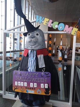 大分マリーンパレス水族館 「うみたまご」に投稿された画像（2025/10/13）