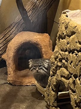 こども動物自然公園（埼玉県公園緑地協会）に投稿された画像（2025/10/13）