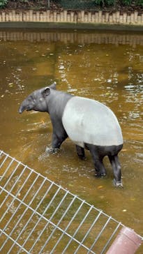 千葉市動物公園に投稿された画像（2025/10/13）
