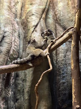 千葉市動物公園に投稿された画像（2025/10/13）