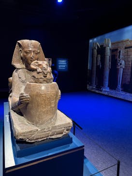 ACN ラムセス大王展 ファラオたちの黄金に投稿された画像（2025/10/13）