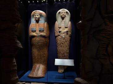 ACN ラムセス大王展 ファラオたちの黄金に投稿された画像（2025/10/13）