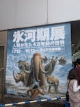 特別展「氷河期展 〜人類が見た4万年前の世界〜」（国立科学博物館）に投稿された画像（2025/10/13）