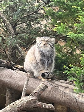 那須どうぶつ王国に投稿された画像（2025/10/13）