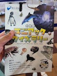 新江ノ島水族館に投稿された画像（2025/10/13）