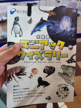 新江ノ島水族館に投稿された画像（2025/10/13）