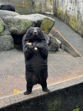 奥飛騨クマ牧場に投稿された画像（2025/10/13）