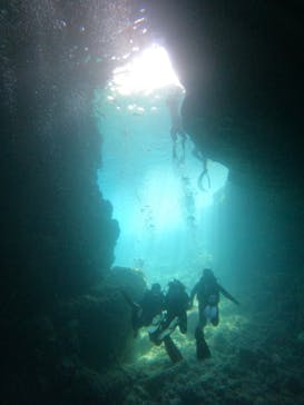 武藤潜水に投稿された画像（2025/10/13）