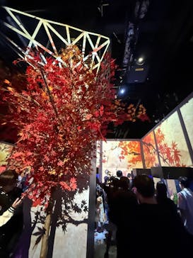 マクセル アクアパーク品川に投稿された画像（2025/10/13）