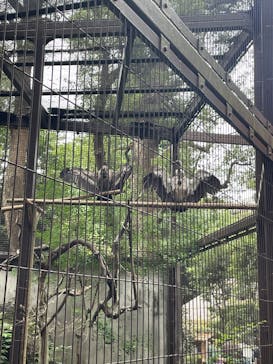 恩賜上野動物園に投稿された画像（2025/10/13）