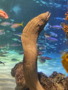 サンシャイン水族館に投稿された画像（2025/10/13）