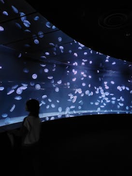 サンシャイン水族館に投稿された画像（2025/10/13）