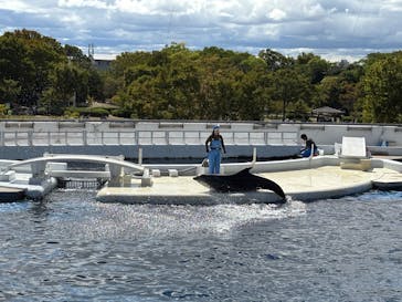 京都水族館に投稿された画像（2025/10/13）