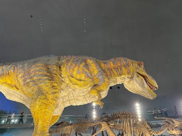 福井県立恐竜博物館に投稿された画像（2025/10/13）