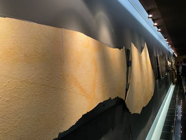 福井県立恐竜博物館に投稿された画像（2025/10/13）