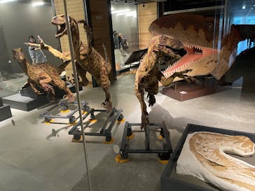 福井県立恐竜博物館に投稿された画像（2025/10/13）