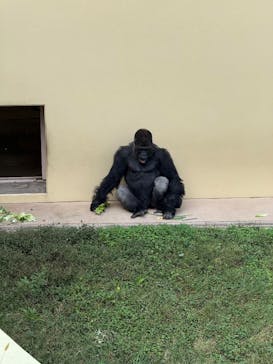 名古屋市東山動植物園に投稿された画像（2025/10/13）