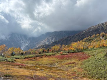 つがいけマウンテンリゾートに投稿された画像（2025/10/13）