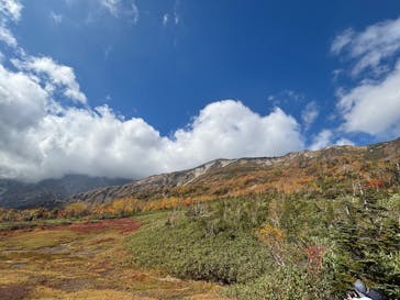 つがいけマウンテンリゾートに投稿された画像（2025/10/13）