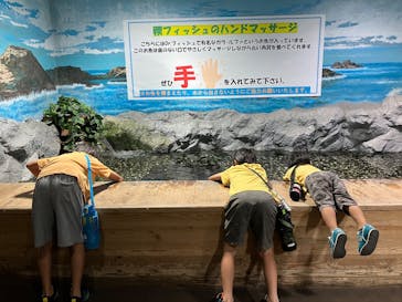 ゼロ距離水族館 伊勢シーパラダイスに投稿された画像（2025/10/13）