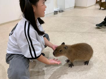 アニタッチPARKイオンモール太田に投稿された画像（2025/10/13）