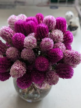 ひるがのピクニックガーデンに投稿された画像（2025/10/13）