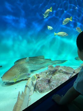 アクアワールド茨城県大洗水族館に投稿された画像（2025/10/13）