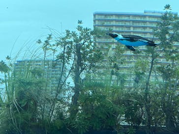 サンシャイン水族館に投稿された画像（2025/10/13）