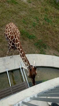 霞ケ浦 どうぶつとみんなのいえに投稿された画像（2025/10/13）