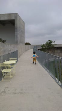 霞ケ浦 どうぶつとみんなのいえに投稿された画像（2025/10/13）