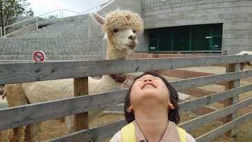 霞ケ浦 どうぶつとみんなのいえに投稿された画像（2025/10/13）