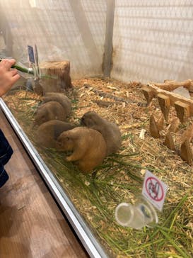 アニタッチみなとみらいに投稿された画像（2025/10/13）