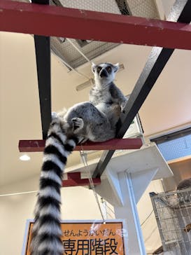 アニタッチみなとみらいに投稿された画像（2025/10/13）