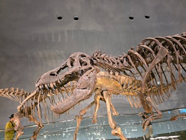 福井県立恐竜博物館に投稿された画像（2025/10/13）