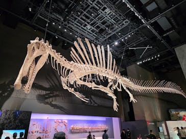 福井県立恐竜博物館に投稿された画像（2025/10/13）