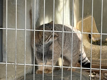 名古屋市東山動植物園に投稿された画像（2025/10/13）