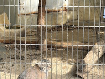 名古屋市東山動植物園に投稿された画像（2025/10/13）