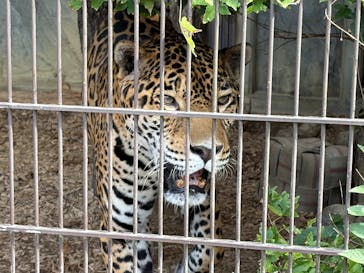 名古屋市東山動植物園に投稿された画像（2025/10/13）